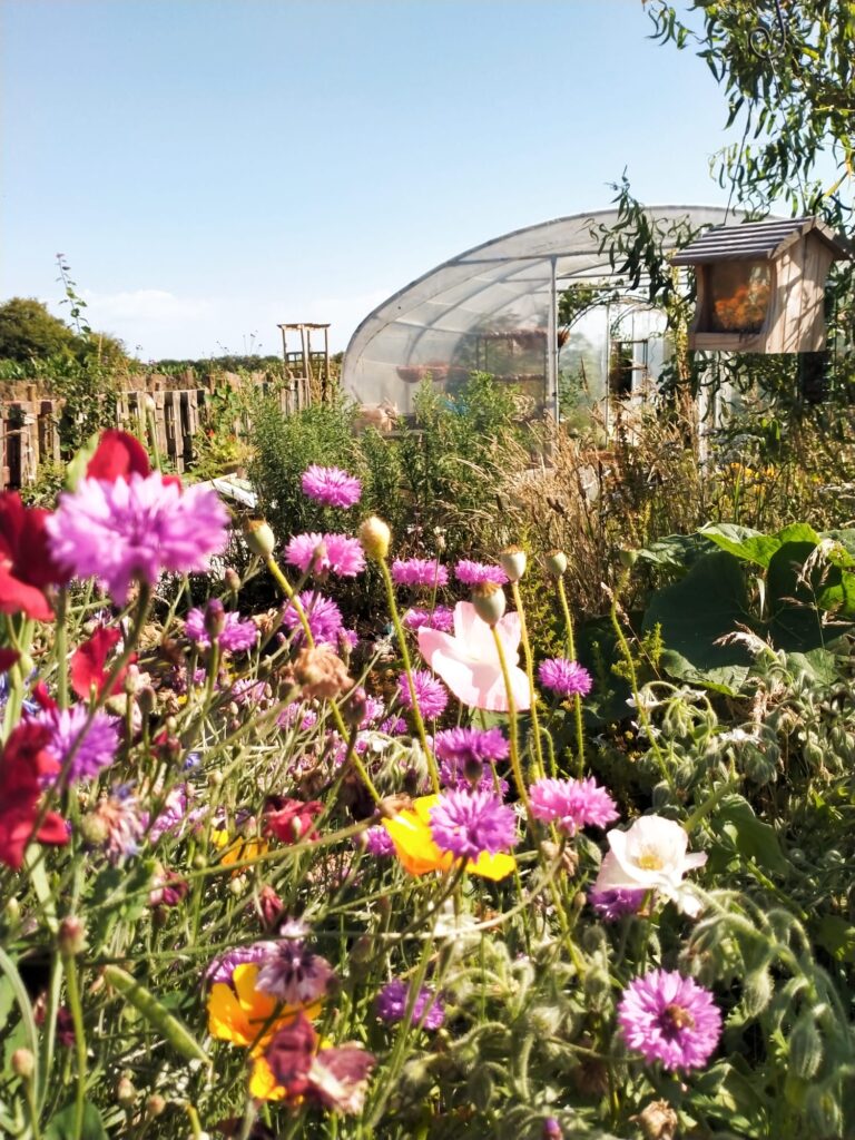 WhatsApp Image 2024-08-06 at 19.51.05