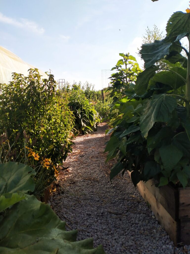 WhatsApp Image 2024-08-06 at 19.51.06