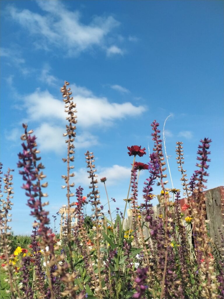 WhatsApp Image 2024-09-02 at 14.04.19(4)